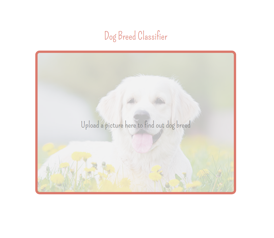 Dog Breed Classifier